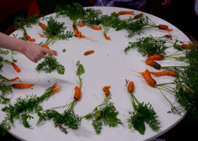 carrots on table